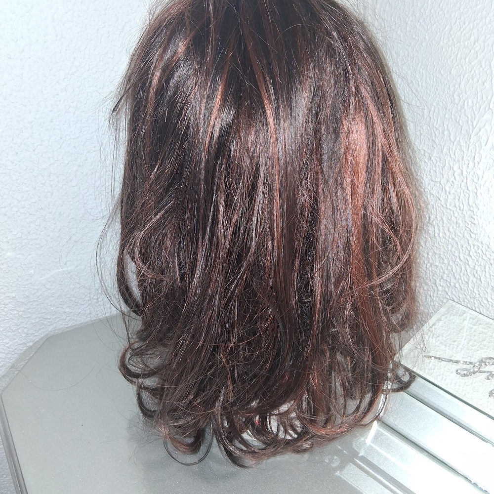 Shake-N- Go Color # P4/130 Hair Wig NWT Never Used